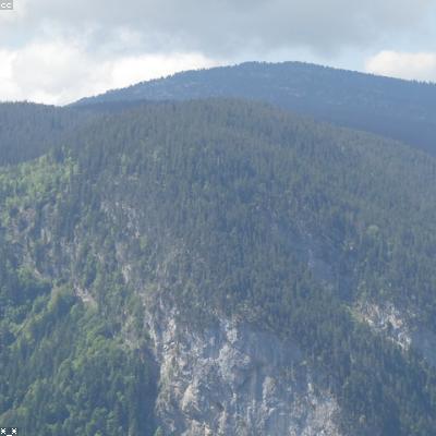 免费日本黄页大全